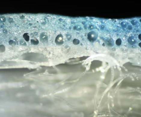 Microscopic image of two cross-section of coated fabric, commercial fabric, under darkfield visible light composed of a foam coating