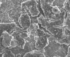 SEM photomicrograph, sample D2 kerameikos. Traces of carbon "stain" ("smoke").