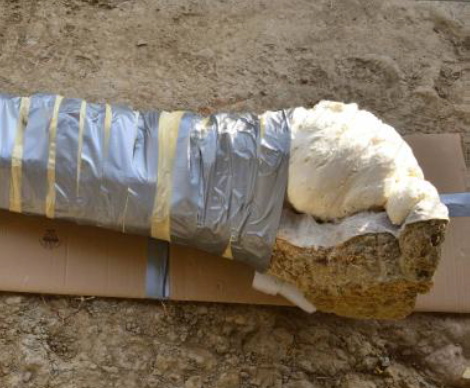 application of one-component polyurethane to the exposed side of the femur, which was then turned over and secured with tape