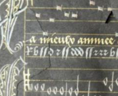 Parchment of Margaret of Austria’s Basse Danse manuscript KBR, ms 9085: details of previous restorations of the folios