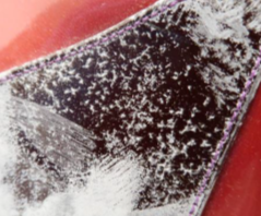 Details of blooming deposits on polyurethane-coated fabrics illustrating different visual manifestations of blooming