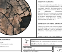 Ficha normalizada de mapeo de muestreo y documentación micrográfica aplicada a una escultura exenta. La lámina integra la localización espacial del registro mediante retícula, las imágenes de detalle de la superficie y los campos descriptivos destinados a documentar ubicación, equipo, aumentos, características observables y correlación con posibles muestras estratigráficas.